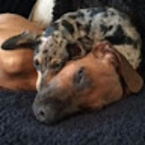 Meet your Posher, Karen